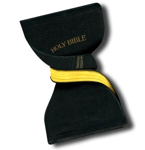 TwistedScriptureGraphic_1C