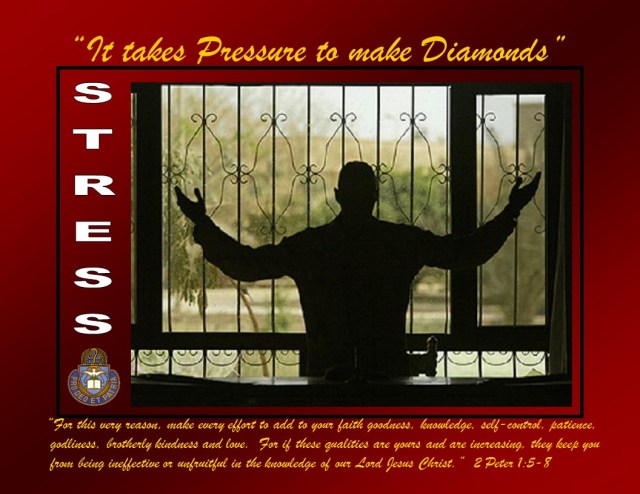 Stress JPG (2)